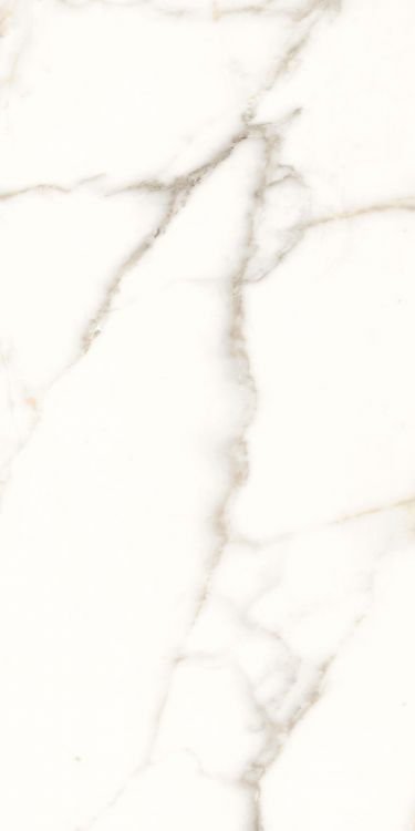 Trilogy Calacatta White Lux 24 x 48