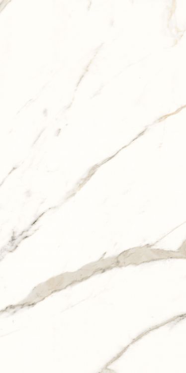Trilogy Calacatta White Lux 12 x 24