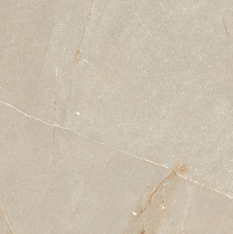 Madison Bone 24 x 24