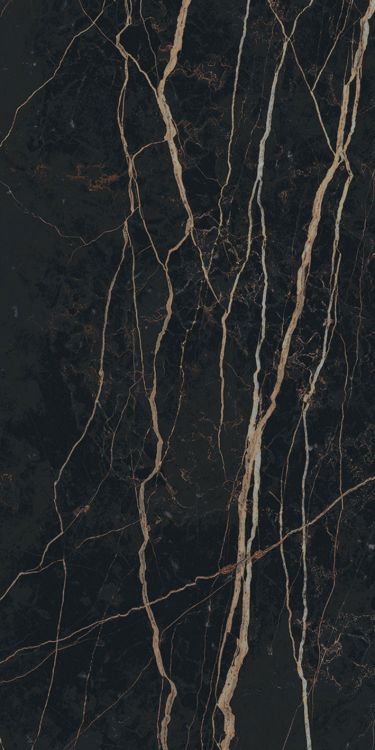 Prexious Thunder Night Matte 12 x 24