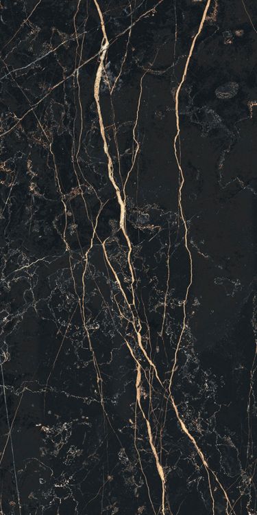 Prexious Thunder Night Matte 12 x 24