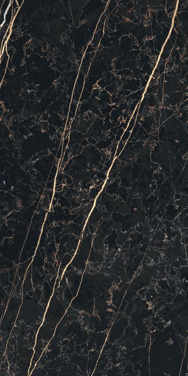 Prexious Thunder Night Matte 12 x 24