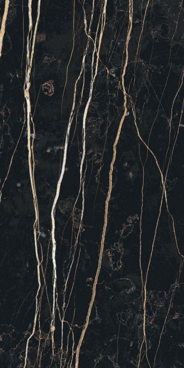 Prexious Thunder Night Matte 12 x 24