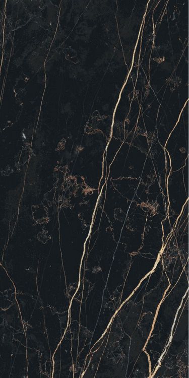Prexious Thunder Night Matte 12 x 24