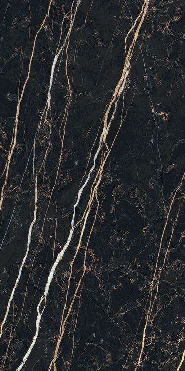 Prexious Thunder Night Matte 12 x 24