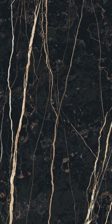 Prexious Thunder Night Matte 12 x 24