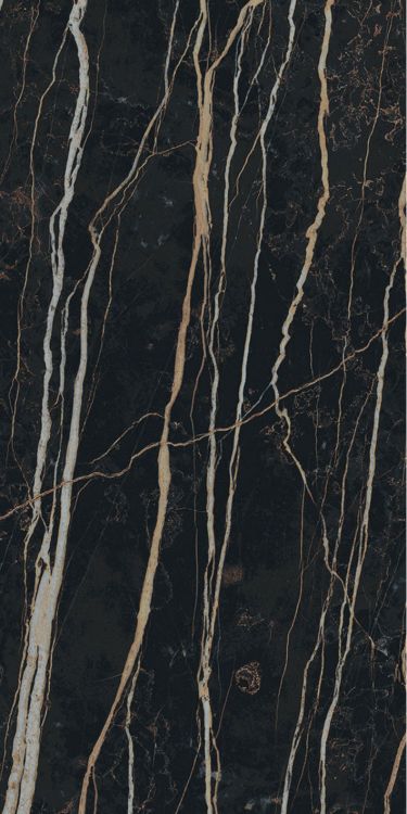Prexious Thunder Night Matte 12 x 24