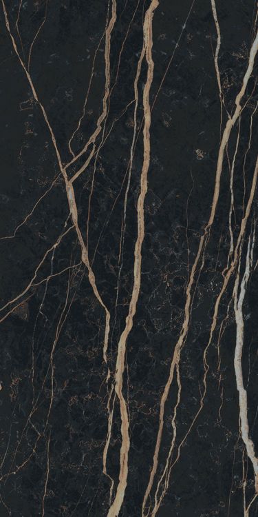 Prexious Thunder Night Matte 12 x 24