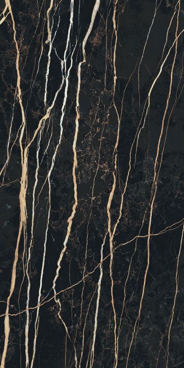 Prexious Thunder Night Matte 12 x 24