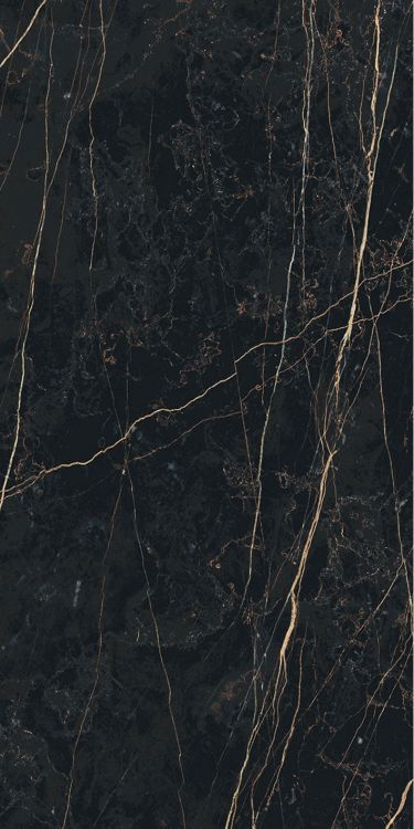 Prexious Thunder Night Matte 12 x 24