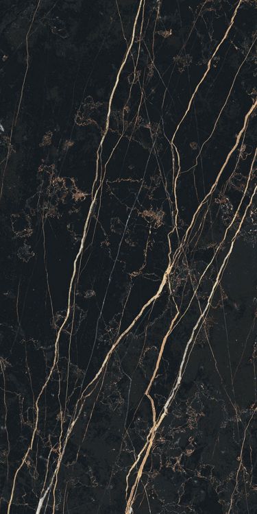 Prexious Thunder Night Matte 12 x 24