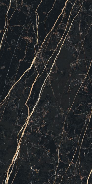 Prexious Thunder Night Matte 12 x 24