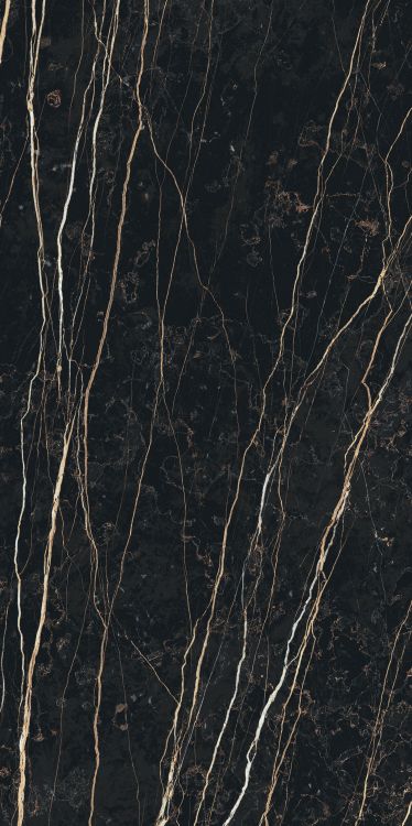 Prexious Thunder Night Glossy 24 x 48