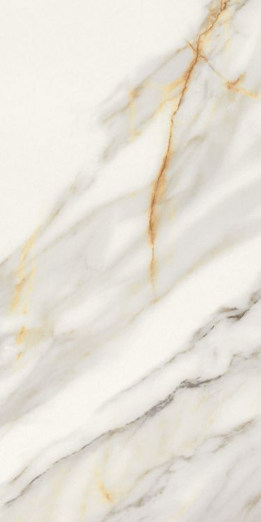 Marmi Macchiavecchia Levigato 12 x 24
