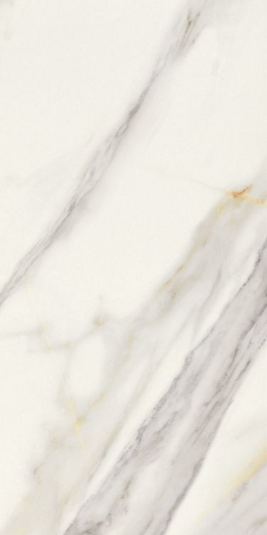 Marmi Macchiavecchia Levigato 12 x 24