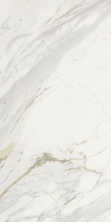 Marmi Calacatta Levigato 12 x 24