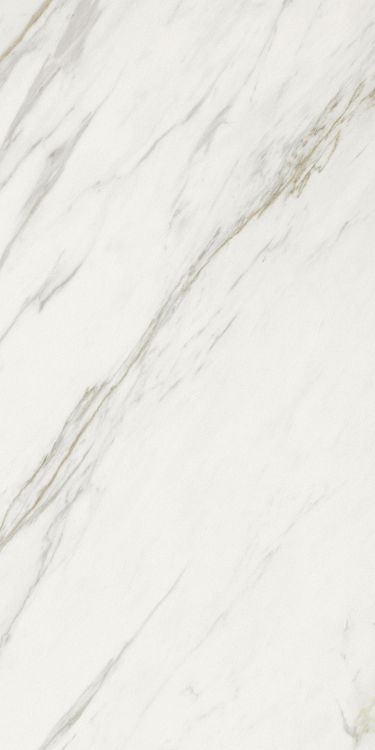 Marmi Calacatta Levigato 12 x 24