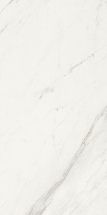 Marmi Calacatta Levigato 12 x 24