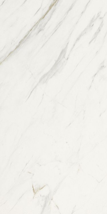 Marmi Calacatta Levigato 12 x 24