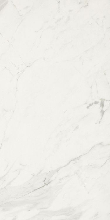 Marmi Calacatta Levigato 12 x 24