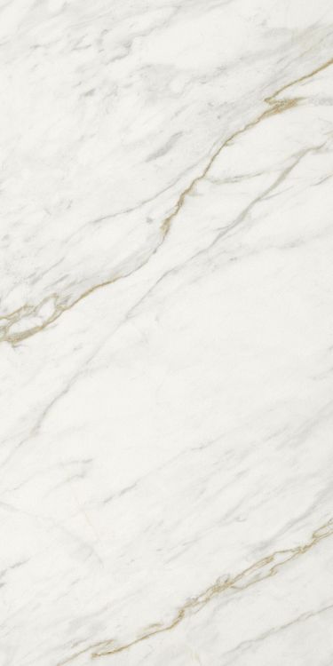 Marmi Calacatta Levigato 12 x 24