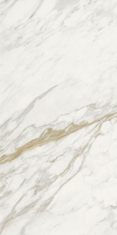 Marmi Calacatta Levigato 12 x 24