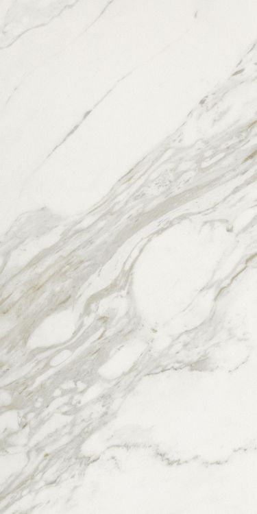 Marmi Calacatta Levigato 12 x 24