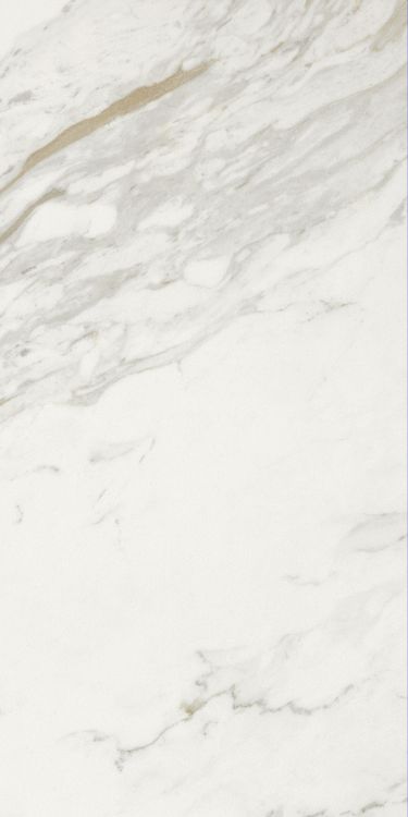 Marmi Calacatta Levigato 12 x 24