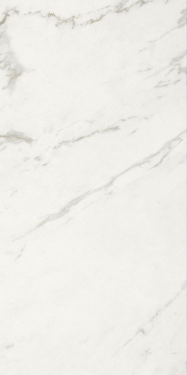 Marmi Calacatta Levigato 12 x 24