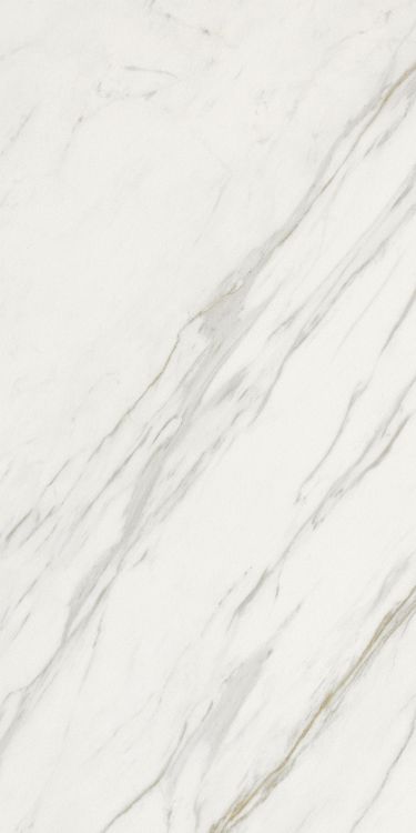 Marmi Calacatta Levigato 12 x 24