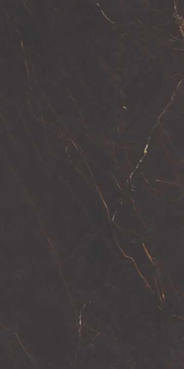 Galaxia Black Levigato (R/L) 24 x 48