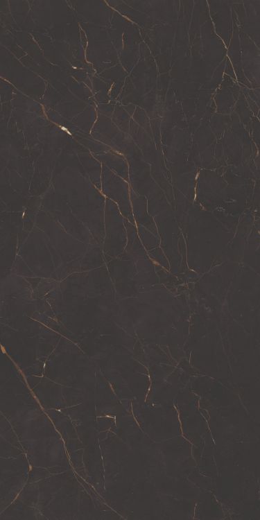 Galaxia Black Levigato (R/L) 24 x 48