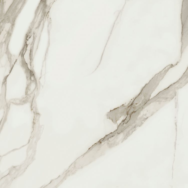 Prestigio Calacatta Soft 48 x 48