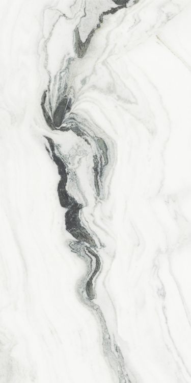 Panda White Polished 24 x 48