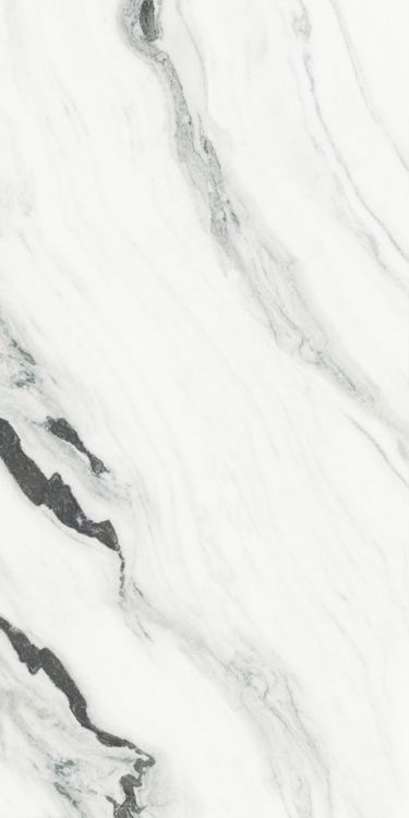 Panda White Polished 24 x 48