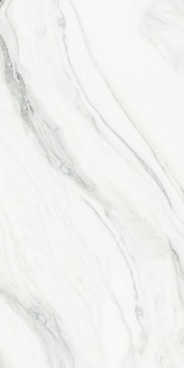 Panda White Polished 24 x 48