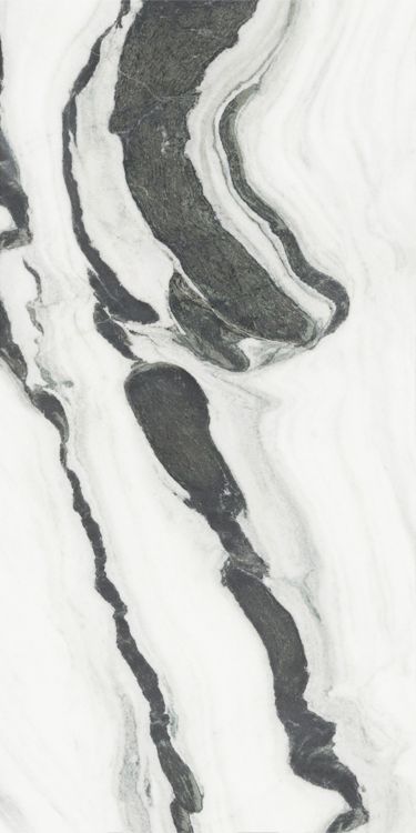 Panda White Polished 24 x 48