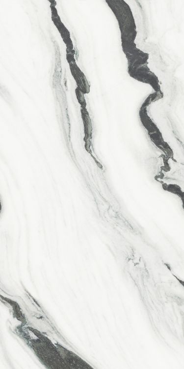 Panda White Polished 24 x 48
