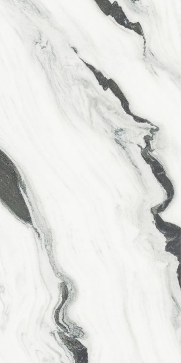 Panda White Polished 24 x 48