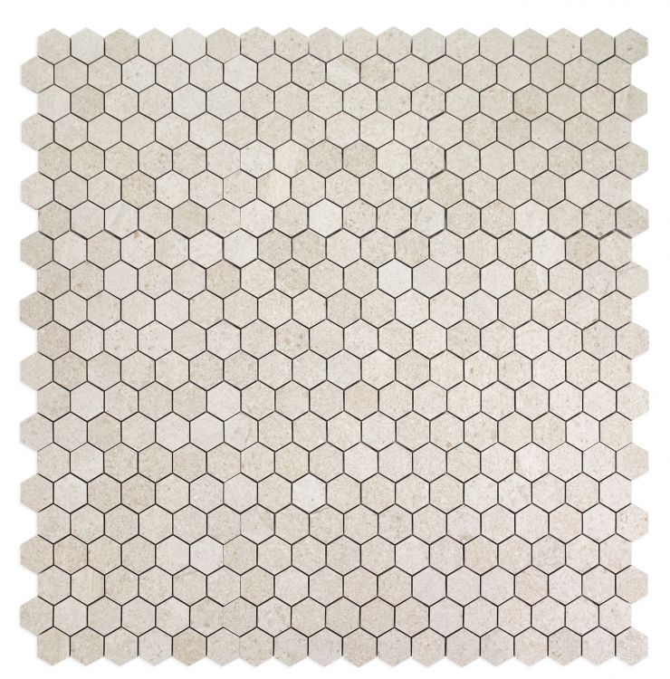 Grant Beige 2 x 2 Hexagon 12 x 12