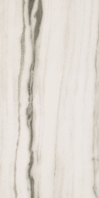 Prexious White Fantasy Matte 24 x 48