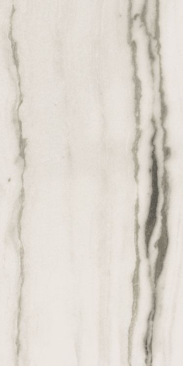Prexious White Fantasy Matte 24 x 48