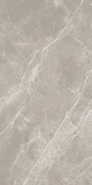 Dolomia Grey Luc 24 x 48