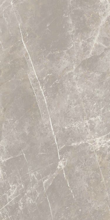Dolomia Grey Luc 24 x 48