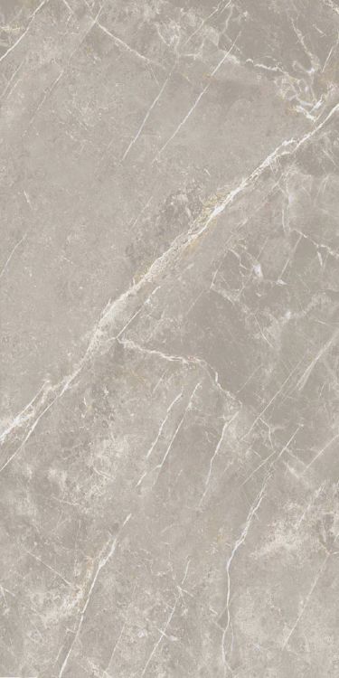 Dolomia Grey Luc 24 x 48