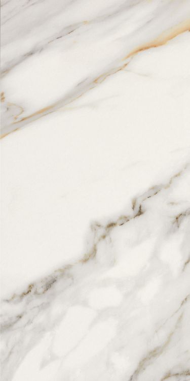Marmi Macchiavecchia Matte 12 x 24
