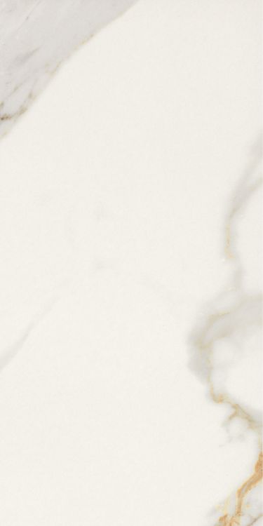 Marmi Macchiavecchia Matte 12 x 24