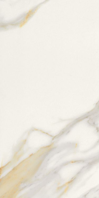 Marmi Macchiavecchia Matte 12 x 24