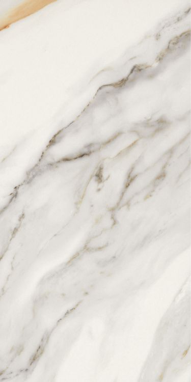 Marmi Macchiavecchia Matte 12 x 24