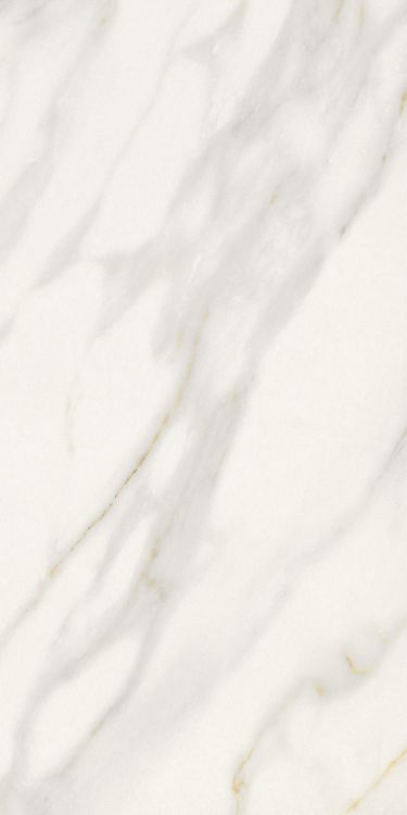 Marmi Macchiavecchia Matte 12 x 24